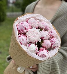 11 розовых голландских пионов  в оформлении