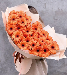 Букет из 35 гербер