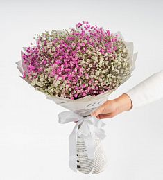Букет "Melodyn" из белой и розовой гипсофилы