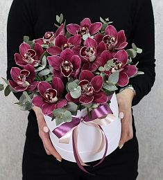 11 орхидей с эвкалиптом в коробке