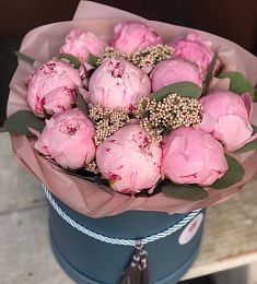 11 голландских пионов в коробку