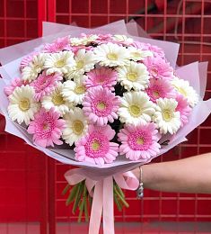 Букет из 51 герберы