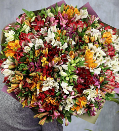Букет из 101 альстромерии микс
