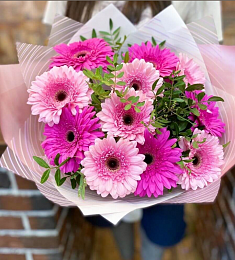 Букет из 11 гербер с фисташкой 