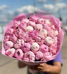 35 розовых голландских пионов