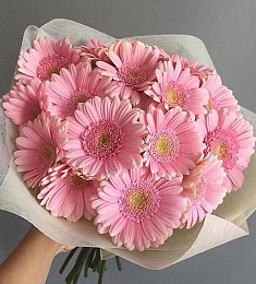 Букет из 15 розовых гербер