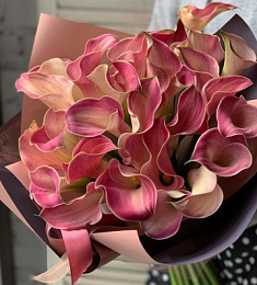 Букет из 31 розовой каллы 