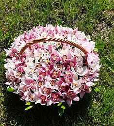 Композиция "Posh" из 101 орхидеи и рускуса в корзине