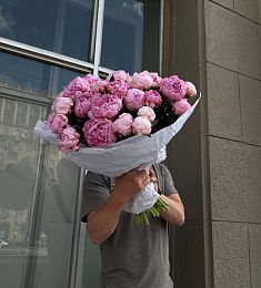 35 розовых голландских пионов в оформлении