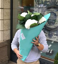 Букет из 9 королевских гортензий