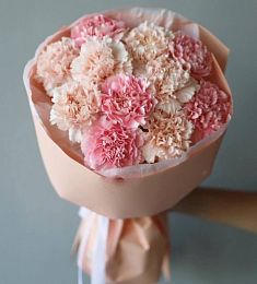 Букет из 11 нежных гвоздик микс