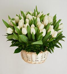 51 тюльпан в корзине