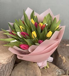 25 голландских тюльпанов микс