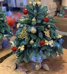 Новогодняя елка из натурального нобилиса