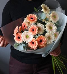 Букет из 17 гербер с эвкалиптом