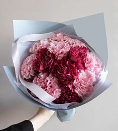 Букет из 11 гвоздик