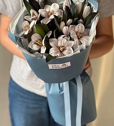 Букет "Марли" из тюльпан