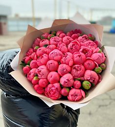 Букет из 51 кораллового пиона